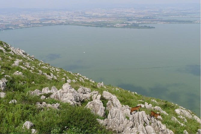 Kunming City Tour with Private Guide - Who Should Consider This Tour?