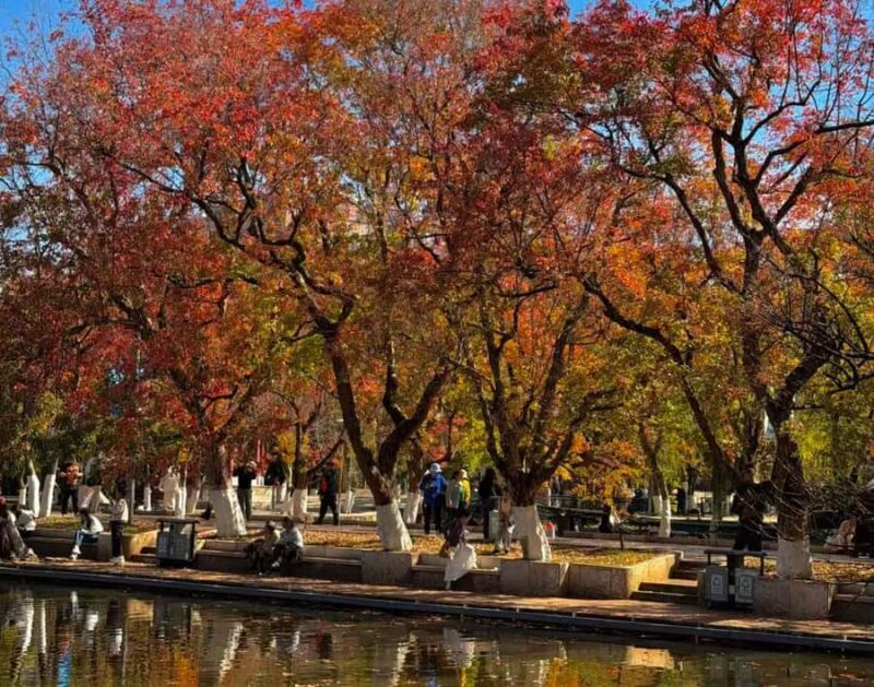 Kunming: Half-day tour of Bihu Lake and Yuantong Temple - Key Points