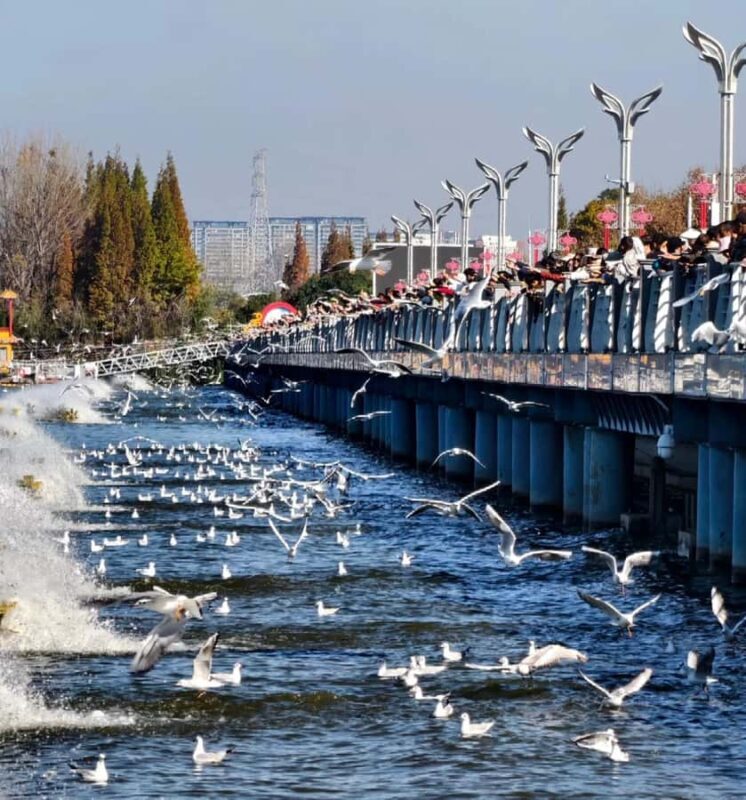 Kunming: Local Market, Ethnic Village & Dragon Gate Day Tour - Dragon Gate Scenic Area: Cliffside Wonders