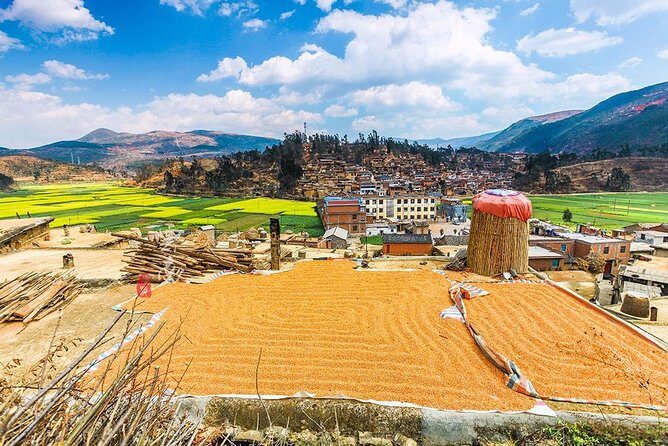 Kunming Private Day Tour to Stone Forest and Chengzi Ancient Town - The Balance of Comfort and Authenticity