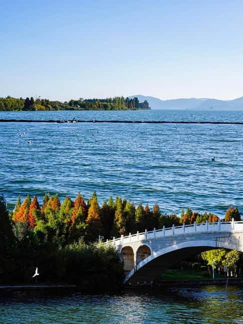 Kunming: Stone Forest and Dianchi Lake Day Trip with Lunch - A Detailed Look at the Tour Experience