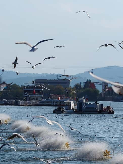 Kunming: Stone Forest and Dianchi Lake Day Trip with Lunch - Who This Tour Is Best For