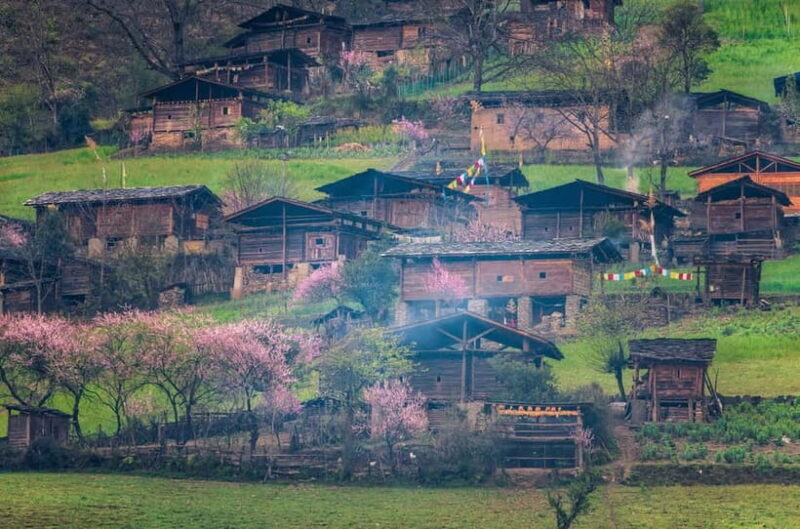 Kunming: Stone Forest & Chengzi Ancient Village Private Tour - Exploring the Stone Forest