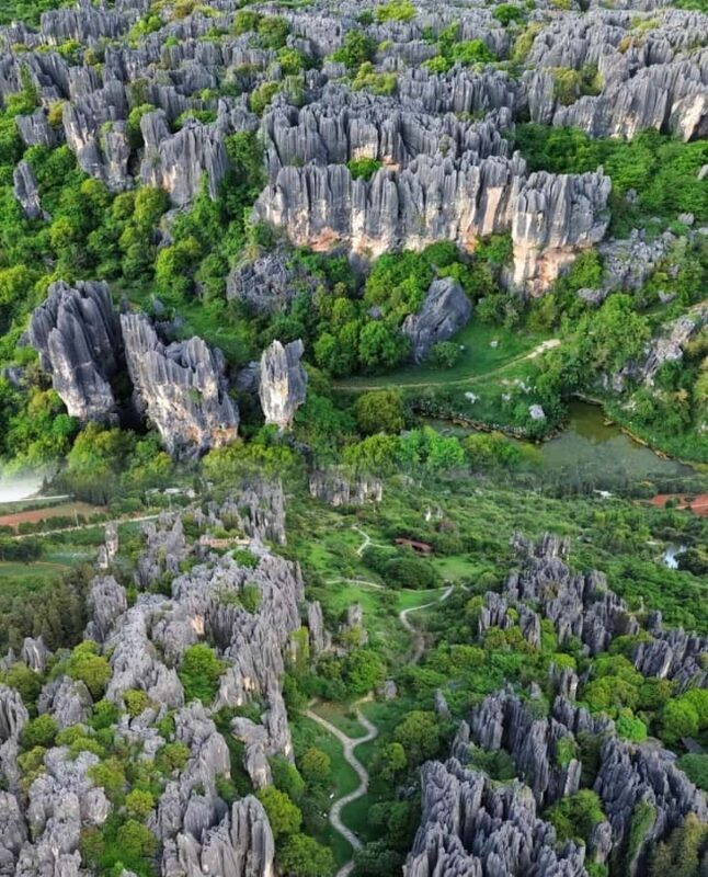 Kunming: Stone Forest, Ethnic Park & Tie-Dye Workshop - Who Will Love This Tour?