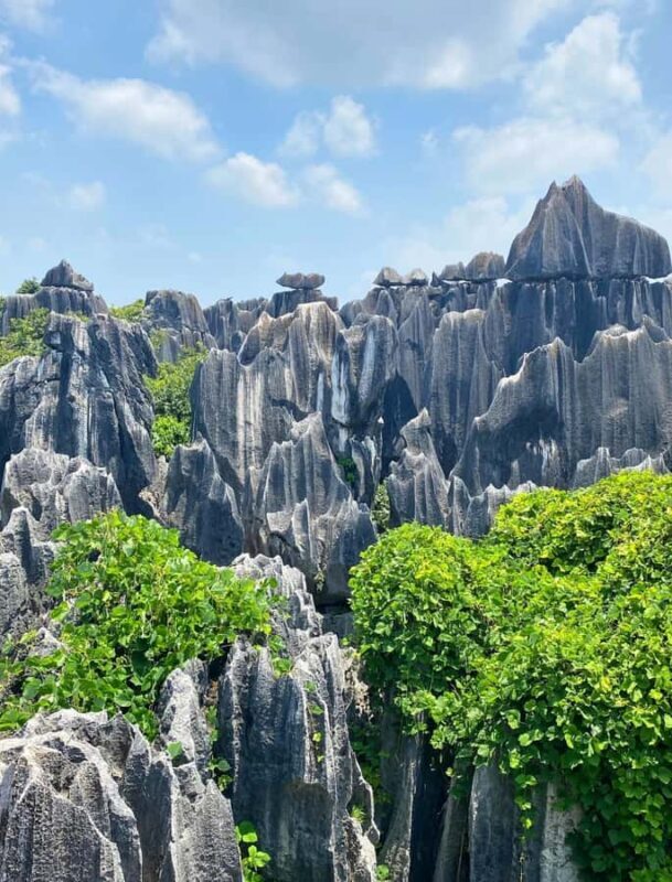 Kunming: Stone Forest Geopark Entry Ticket - Who Would Love This Experience?