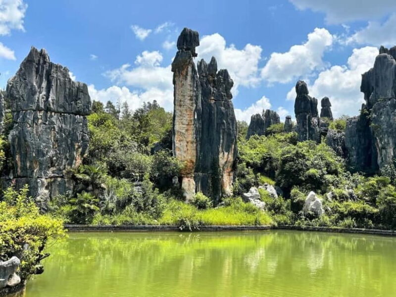 Kunming: Stone Forest, Roast Duck Lunch and City Tour - Key Points