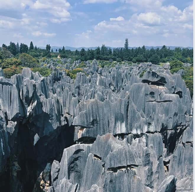 Kunming: Stone Forest, Roast Duck Lunch and City Tour - A Fully-Loaded Day in Kunming: What to Expect