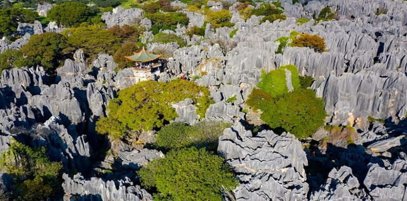 Kunming: Stone Forest, Roast Duck Lunch and City Tour - Final Thoughts: Is This Tour for You?