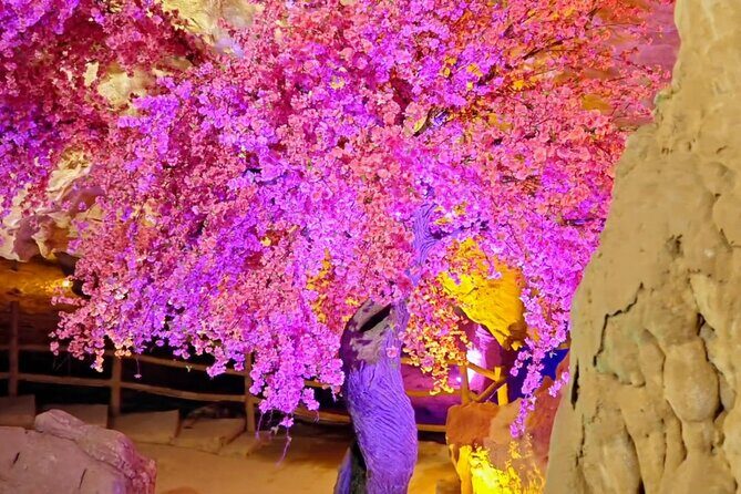 Kunming Yunnan One Day Tour of Jiuxiang - FAQ