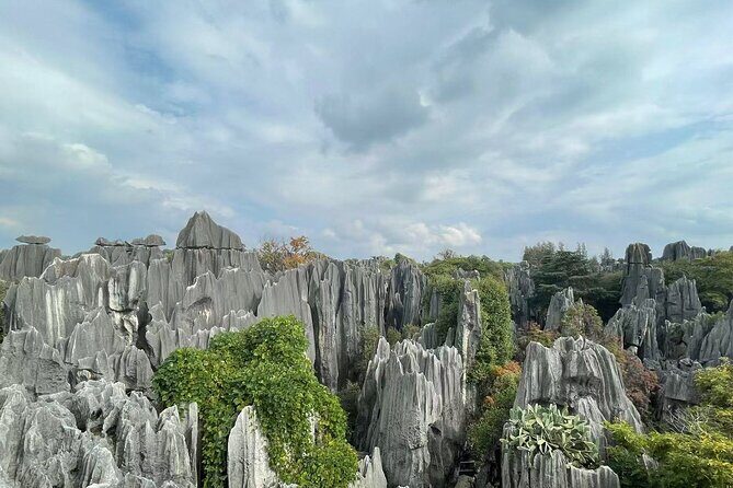 Kunming, Yunnan One Day Tour to Stone Forest Scenic Area - The Experience of Getting There