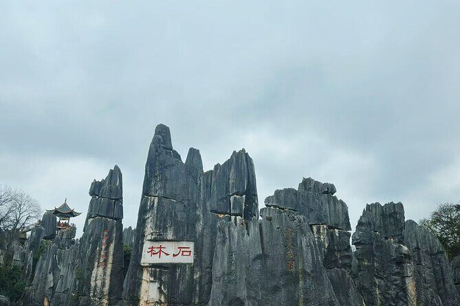 Kunming, Yunnan One Day Tour to Stone Forest Scenic Area - The Scenic Entrance and First Impressions