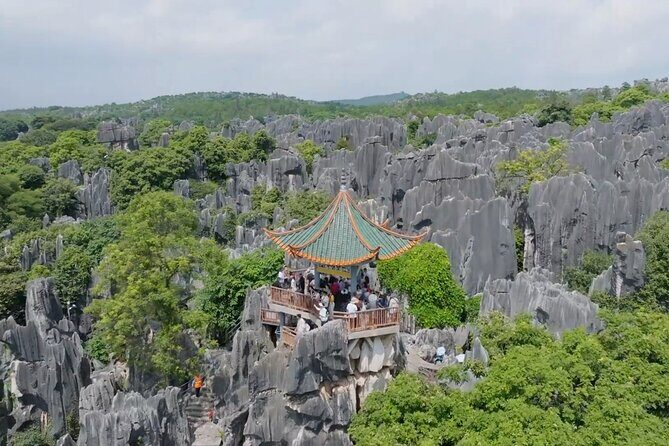 Kunming, Yunnan One Day Tour to Stone Forest Scenic Area - Value for Money and Transparency