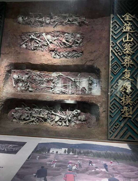 kunming-yunnan-provincial-museum-dounan-flower-market