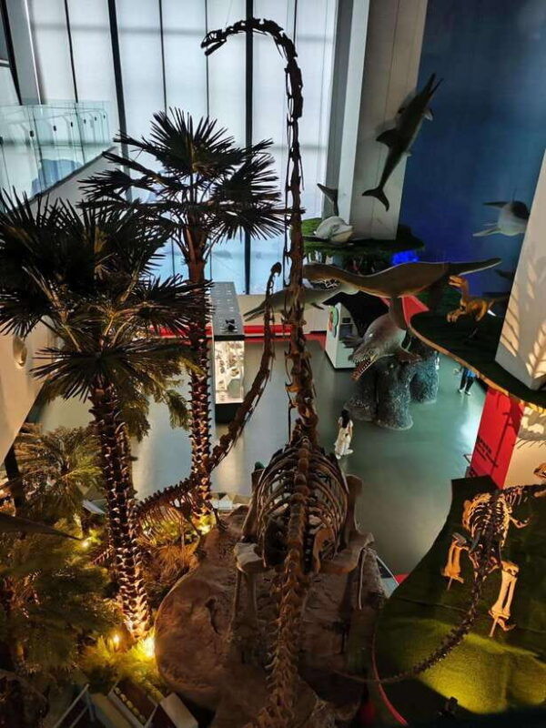 kunming-yunnan-provincial-museum-private-tour-half-day