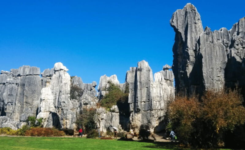 KunmingStone Forest Private Tour:Scenic Walks+Guide Insights - FAQ