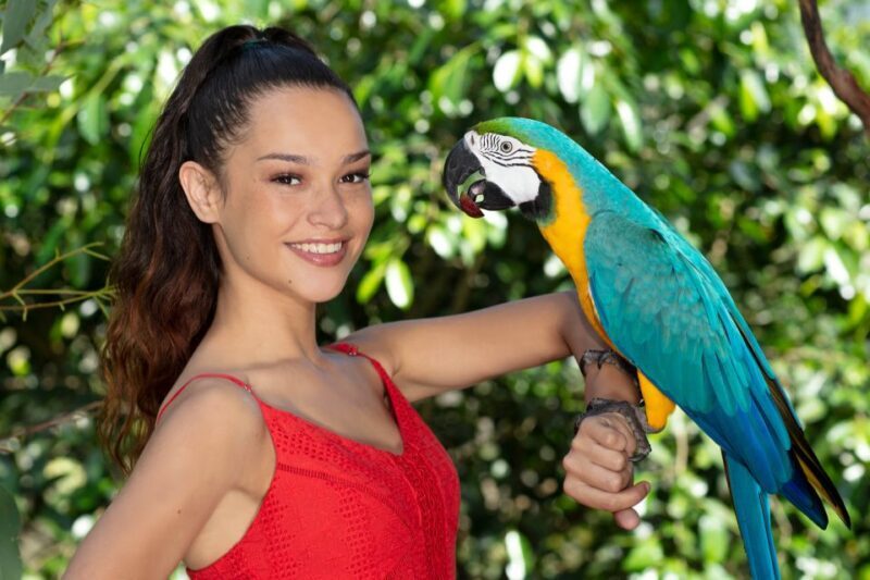 Kuranda: Birdworld Entry Ticket - Introduction