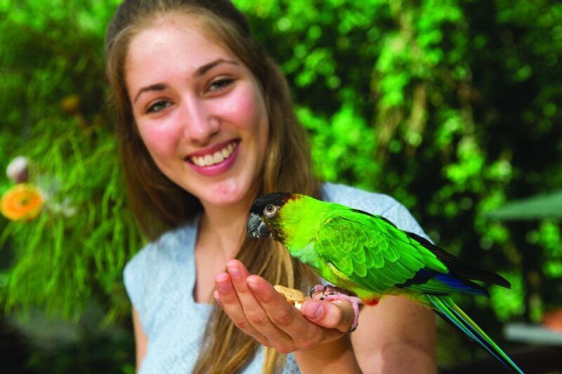Kuranda: Birdworld Entry Ticket - What is Birdworld Kuranda?