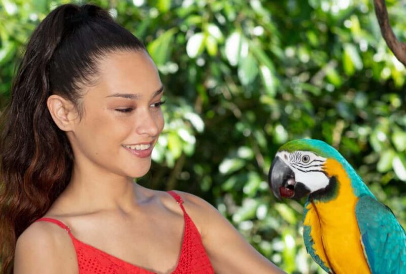 Kuranda by Design, a VIP package experience - Practical Insights: What to Expect and Why It Matters