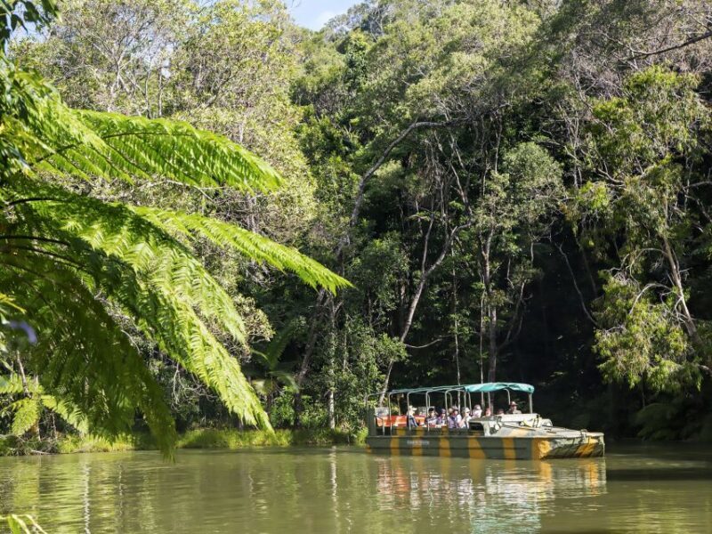 Kuranda, Cairns & Port Douglas Multi-Park Package - Practicalities and What You Should Know