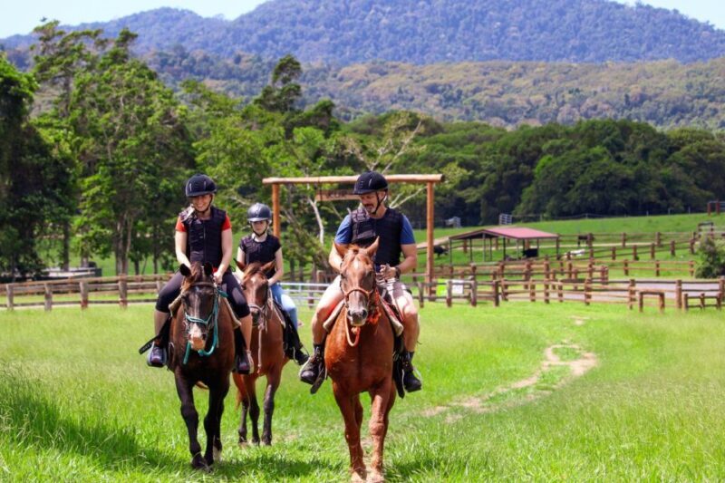 Kuranda Half Day with Petting Zoo & Horse Trail Ride Tour - Key Points