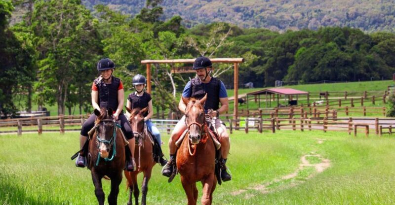 Kuranda Half Day with Petting Zoo & Horse Trail Ride Tour - The Value of This Tour