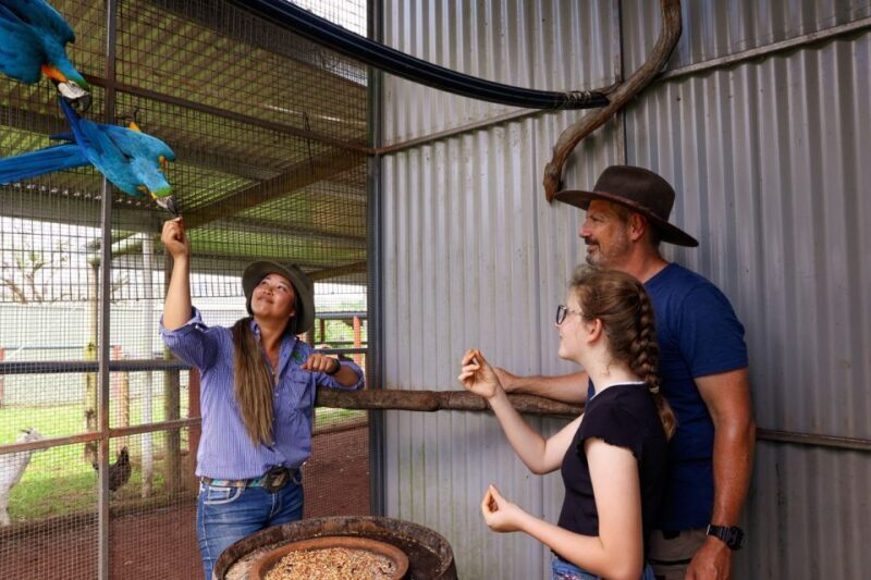 Kuranda Half Day with Petting Zoo & Horse Trail Ride Tour - The Sum Up