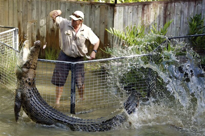 Kuranda & Hartley's Crocodile Adventures - Exploring the Kuranda & Hartleys Crocodile Adventures Tour  