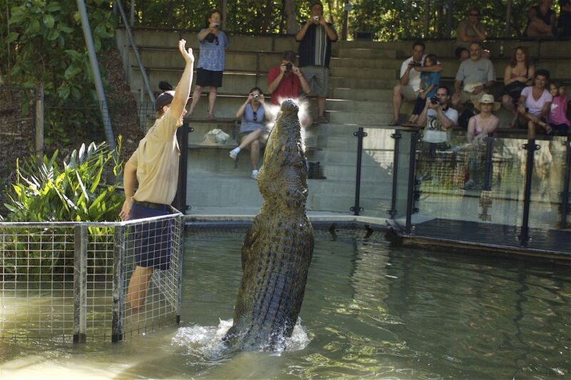 Kuranda & Hartley's Crocodile Adventures - Key Points  