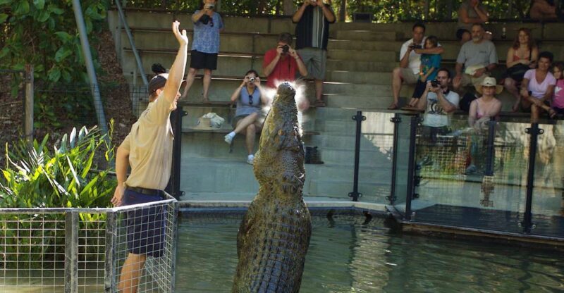 Kuranda & Hartley's Crocodile Adventures - What’s Included and What to Consider  