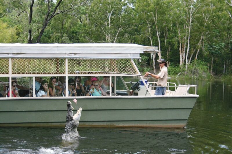 Kuranda & Hartley's Crocodile Adventures - Practical Tips for Making the Most of Your Day  