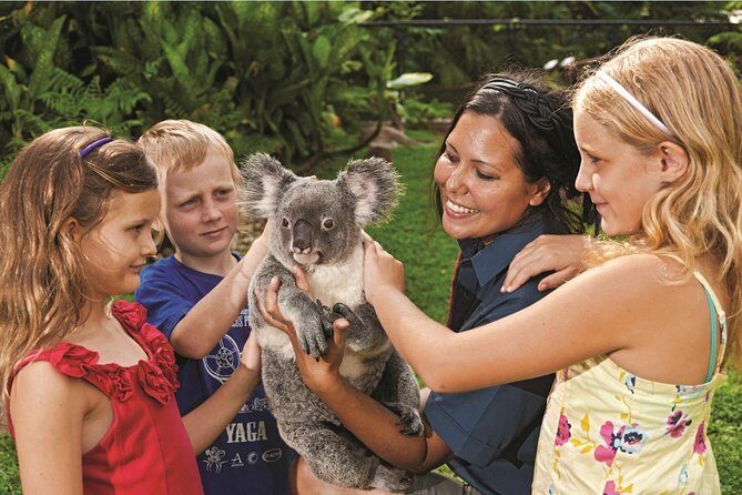 Kuranda Koala Gardens General Entry Ticket - The Experience from the Visitor Perspective