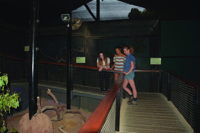 Kuranda Koala Gardens General Entry Ticket - Practical Tips for Visitors