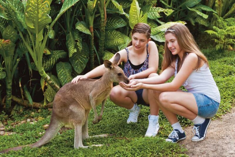 Kuranda Koala Gardens Park Entry - FAQ