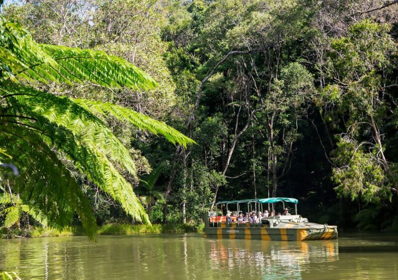 Kuranda Pamagirri Aboriginal Premium Full-Day Tour - Practical Details and What to Expect