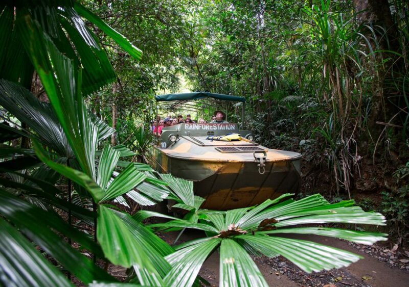 Kuranda: Rainforestation Nature Park - Curious about Rainforestation? Here’s what makes this experience stand out