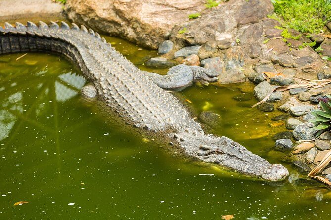 Kuranda Scenic Railway Day Trip from Cairns - Final Thoughts