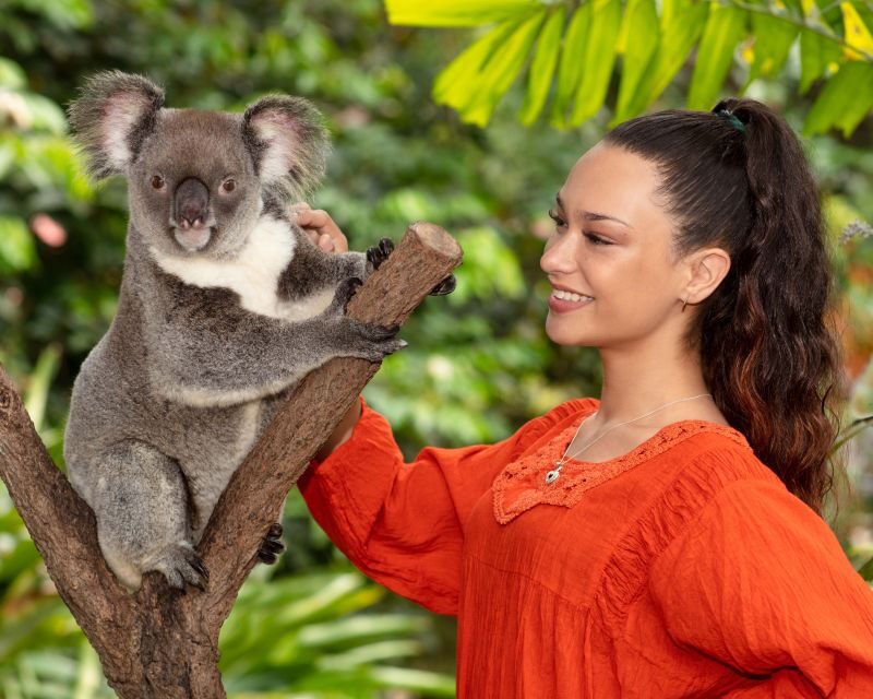 Kuranda Wildlife Experience: Koalas, Birds & Butterflies - Discover the Wild Side of Kuranda: Wildlife, Birds, and Butterflies