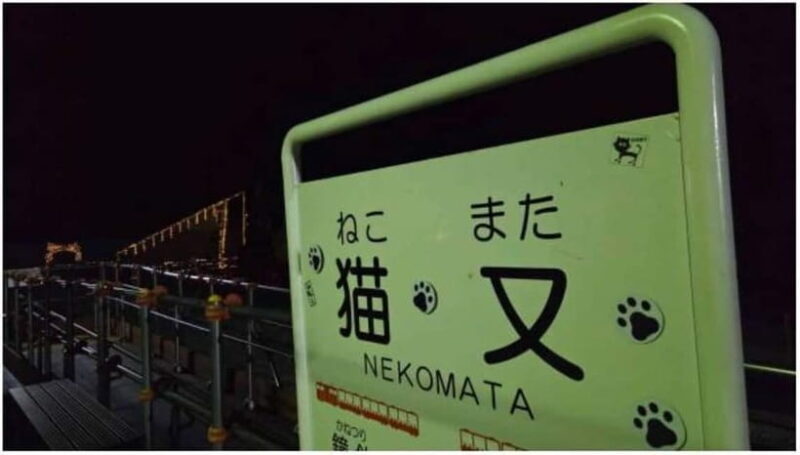 Kurobe Gorge: Night Train Tour with Stargazing - A Unique Evening in Japan’s Kurobe Gorge