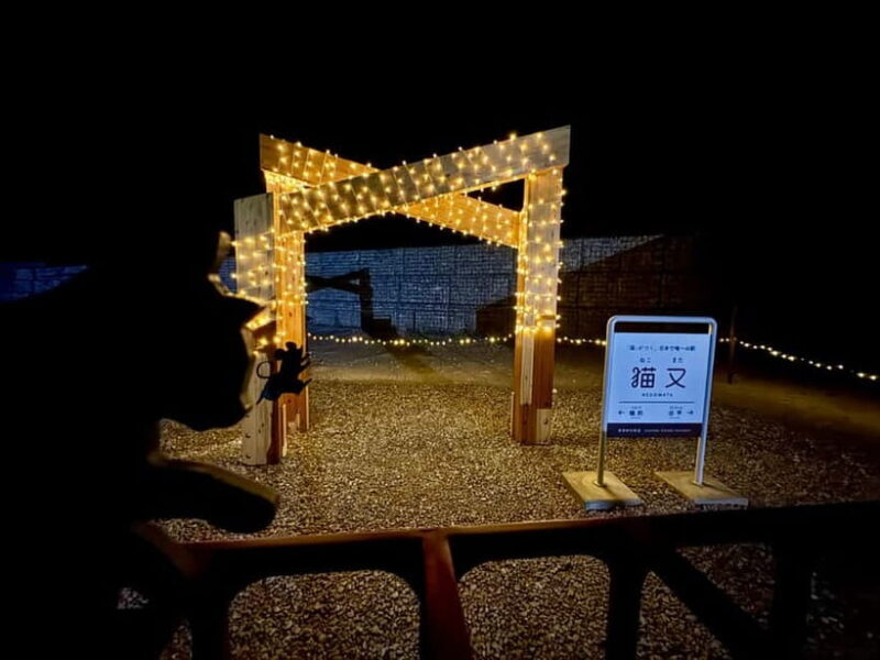 Kurobe Gorge: Night Train Tour with Stargazing - Practicalities and Tips