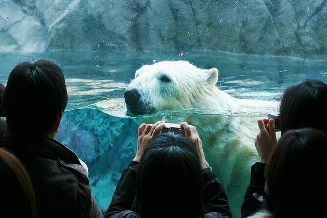 Kurodake Ropeway, Asahiyama Zoo Autumn Leaves Bus Tour - Practical Details and Insights