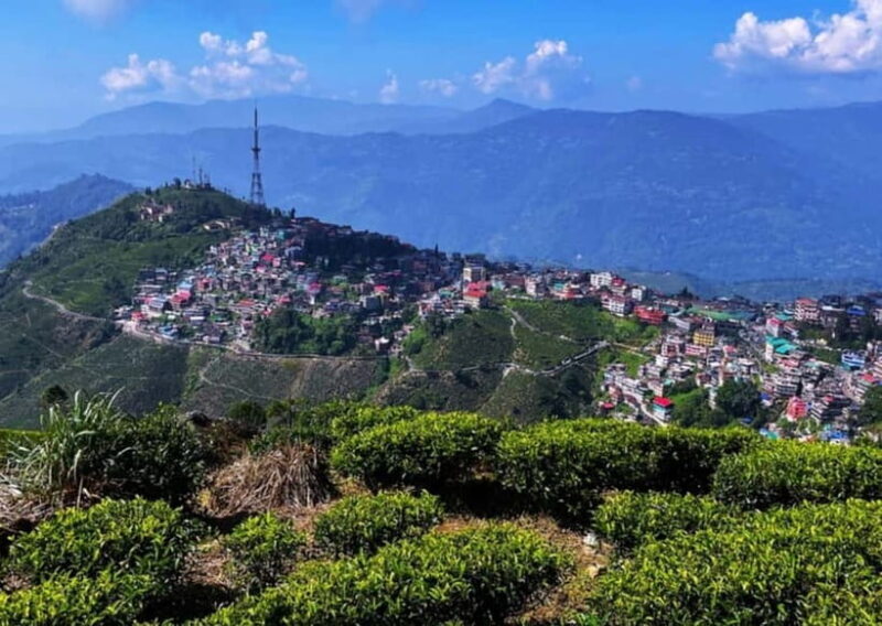 Kurseong: White Orchid Trail Hike with Hotel Pickup - Practical Tips for Your Hike