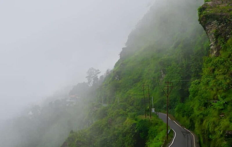 Kurseong: White Orchid Trail Hike with Hotel Pickup - FAQ