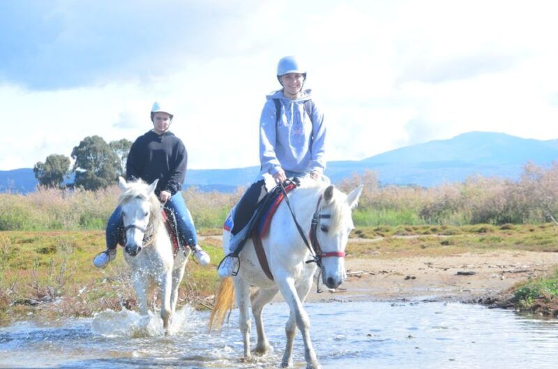 kusadasi-beach-and-forest-horse-riding-tour