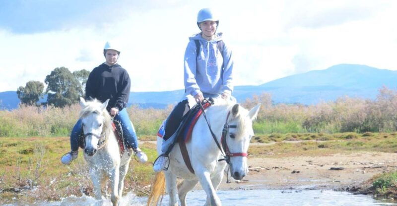 kusadasi-beach-and-forest-horse-riding-tour