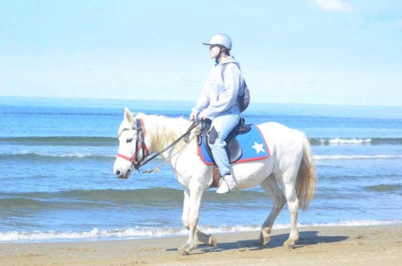kusadasi-beach-and-forest-horse-riding-tour