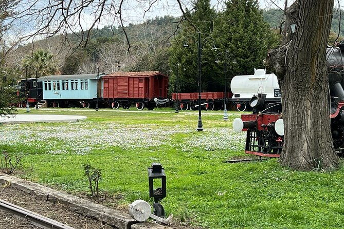 kusadasi-day-trips-magnesia-train-museum-turkish-bath-private