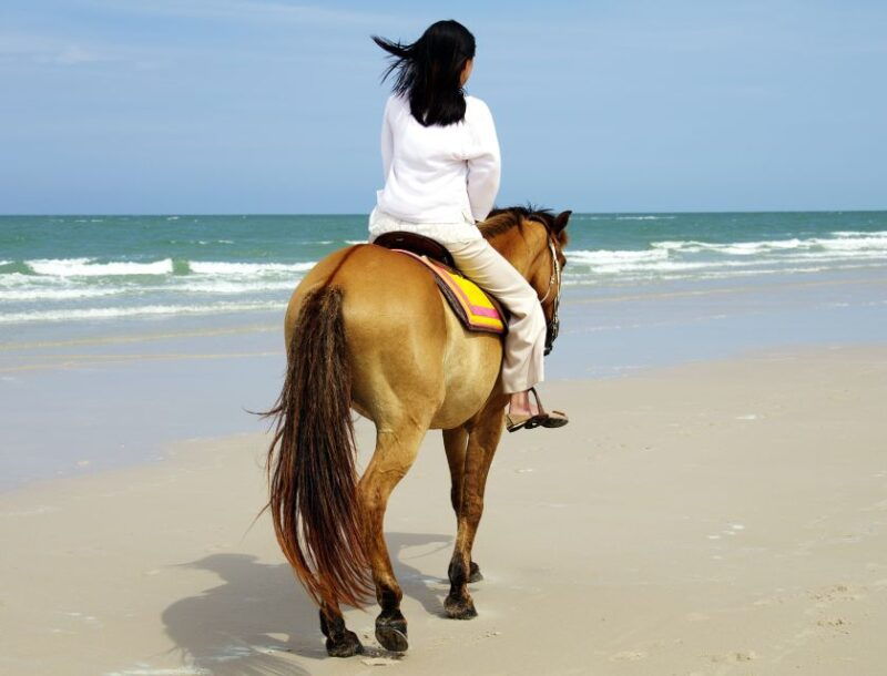 kusadasi-horse-riding-beach-and-forest-w-transfer