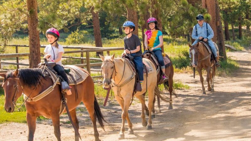 kusadasi-horse-riding-beach-and-forest-w-transfer