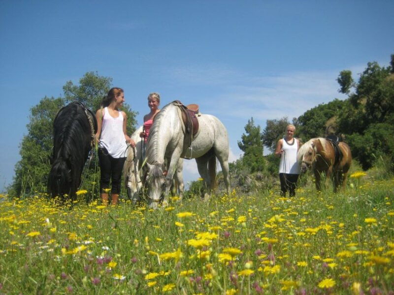 kusadasi-horse-riding-beach-and-forest-w-transfer