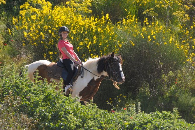 kusadasi-horse-riding-beach-and-forest-with-transfer-4
